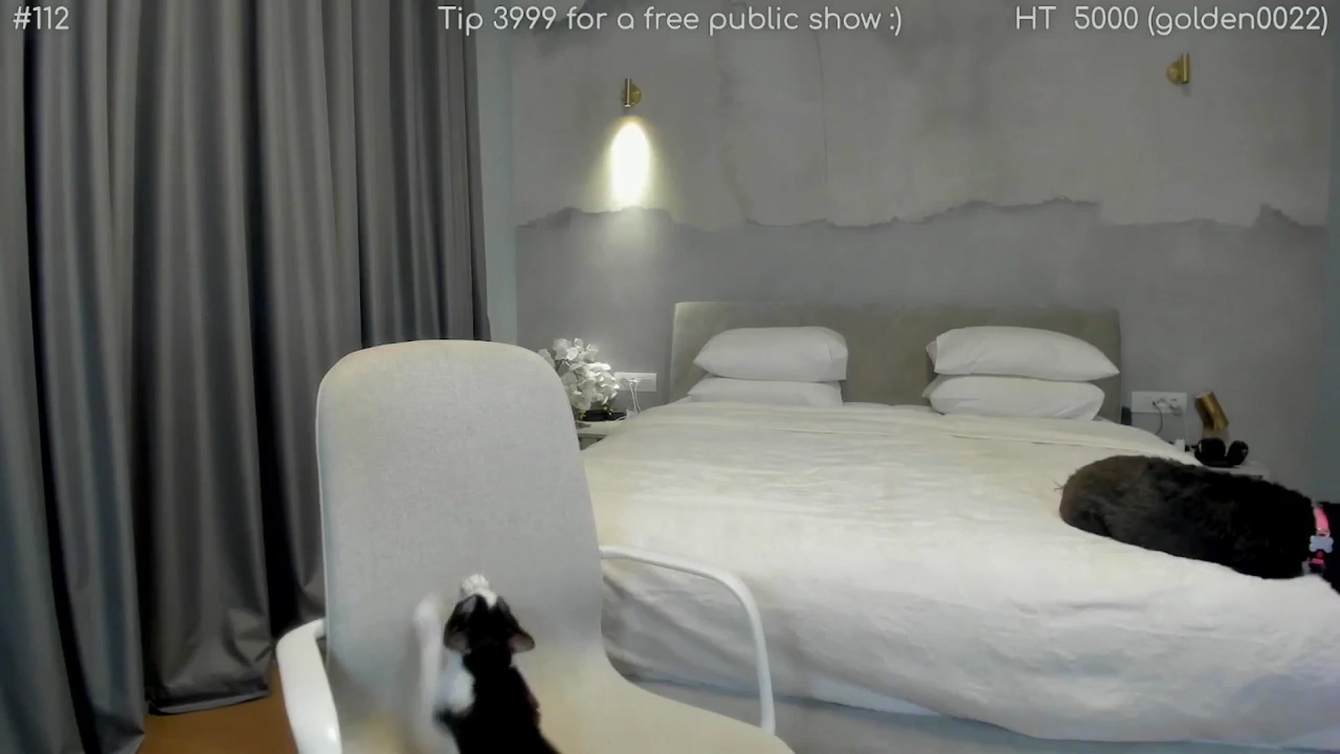 Gallery image thumbnail from girlboss's myfreecams stream on, 01/12/2026, 20:49 image 11 of 20