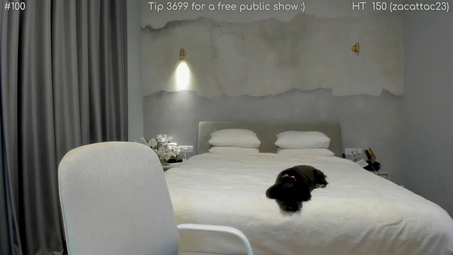 Gallery image thumbnail from girlboss's myfreecams stream on, 01/14/2026, 20:29 image 16 of 20