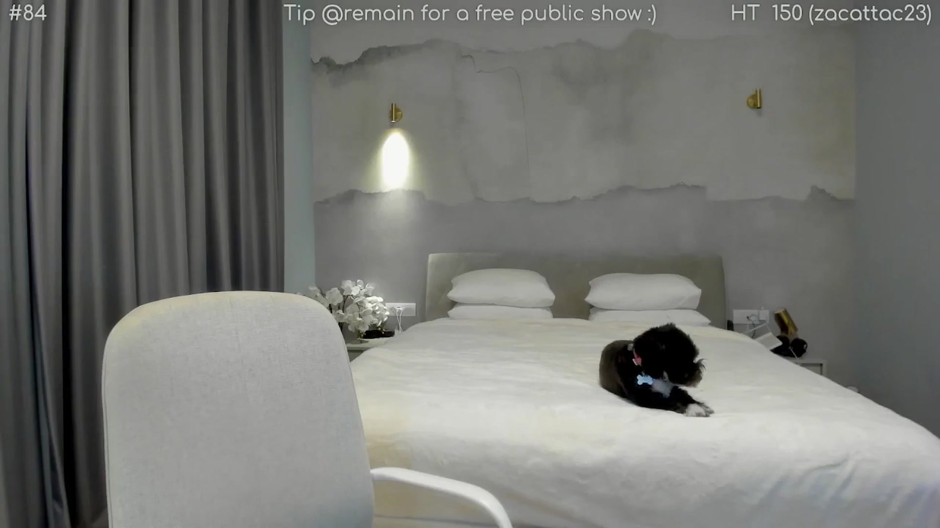 Gallery image thumbnail from girlboss's myfreecams stream on, 01/14/2026, 20:48 image 3 of 20