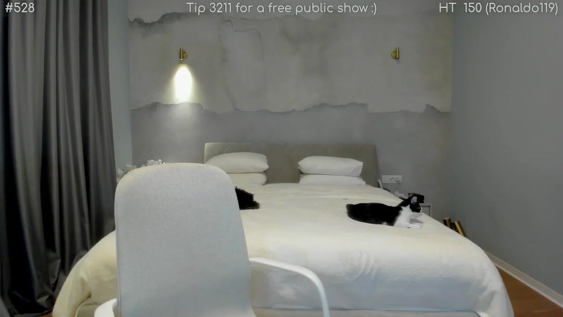 Gallery image thumbnail from girlboss's myfreecams stream on, 02/15/2026, 06:49 image 10 of 20