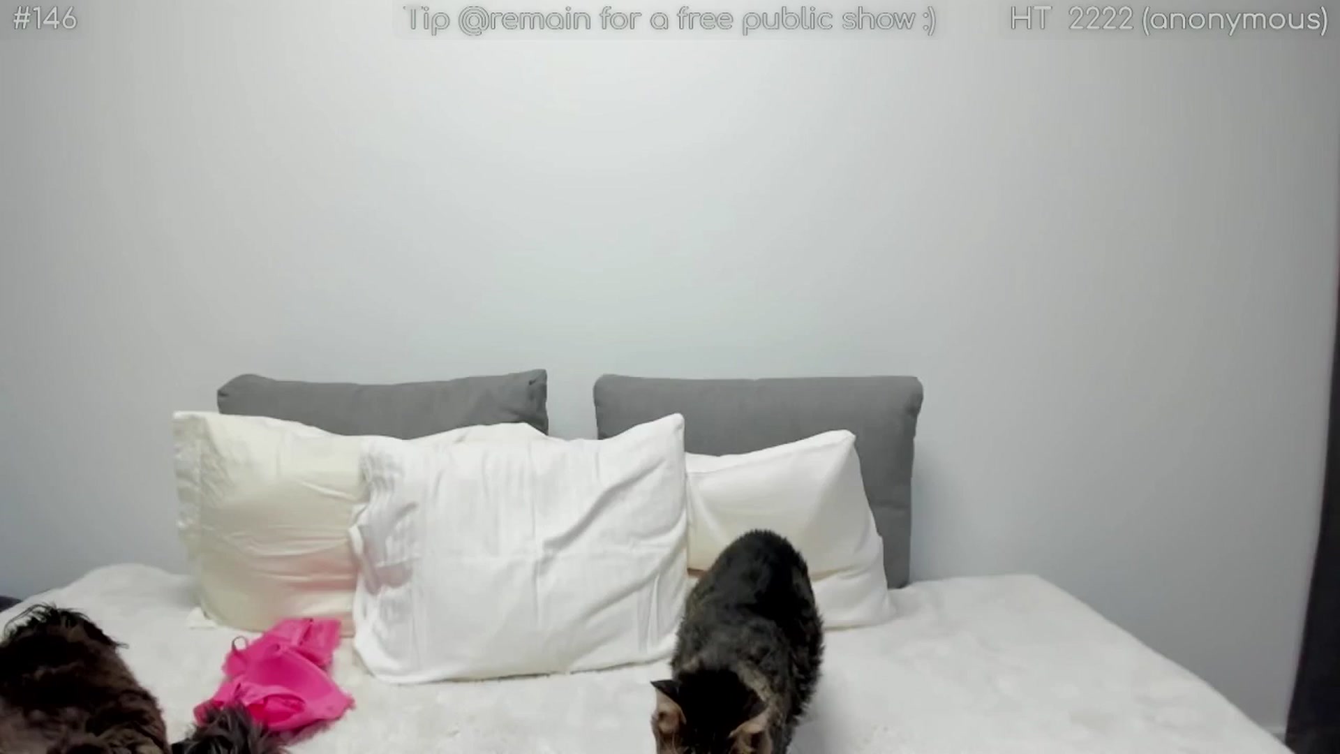 Gallery image thumbnail from girlboss's myfreecams stream on, 02/25/2026, 20:29 image 20 of 20