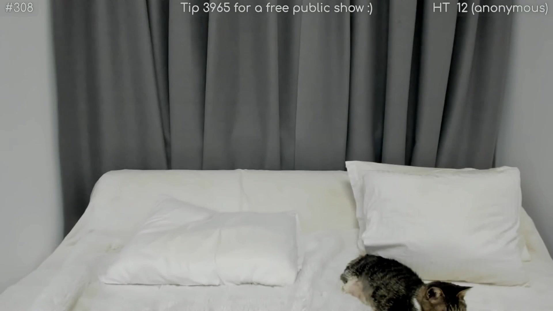Gallery image thumbnail from girlboss's myfreecams stream on, 03/11/2026, 19:16 image 19 of 20