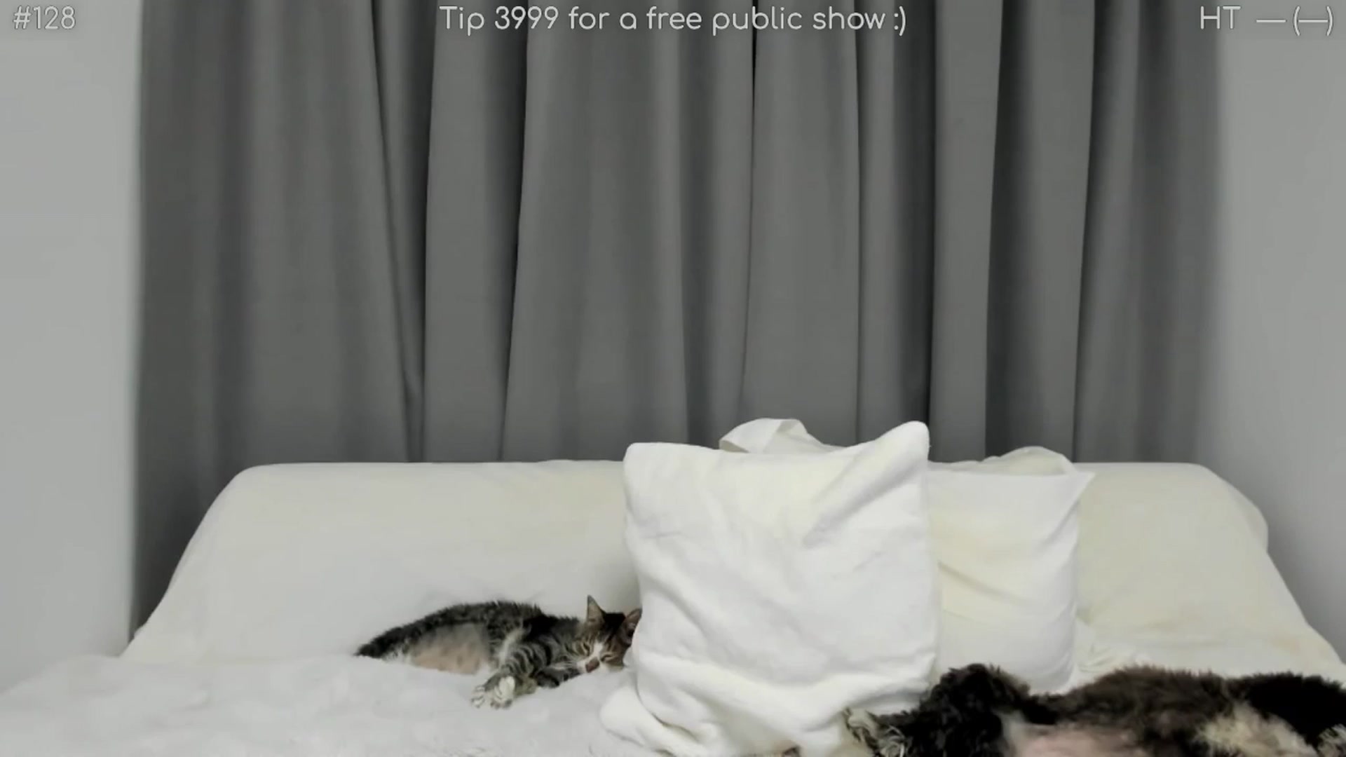 Gallery image thumbnail from girlboss's myfreecams stream on, 03/18/2026, 20:03 image 8 of 20