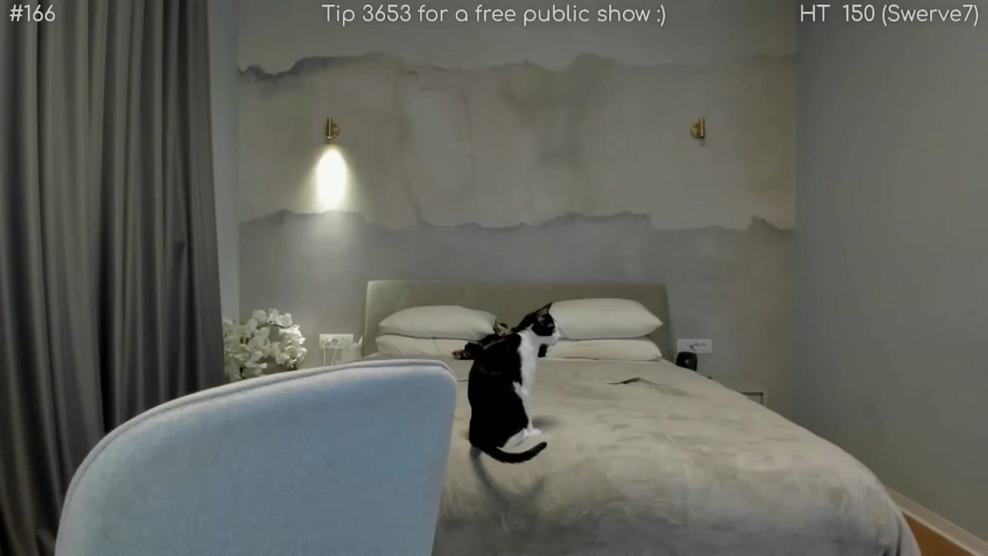 Gallery image thumbnail from girlboss's myfreecams stream on, 04/02/2026, 19:55 image 7 of 20