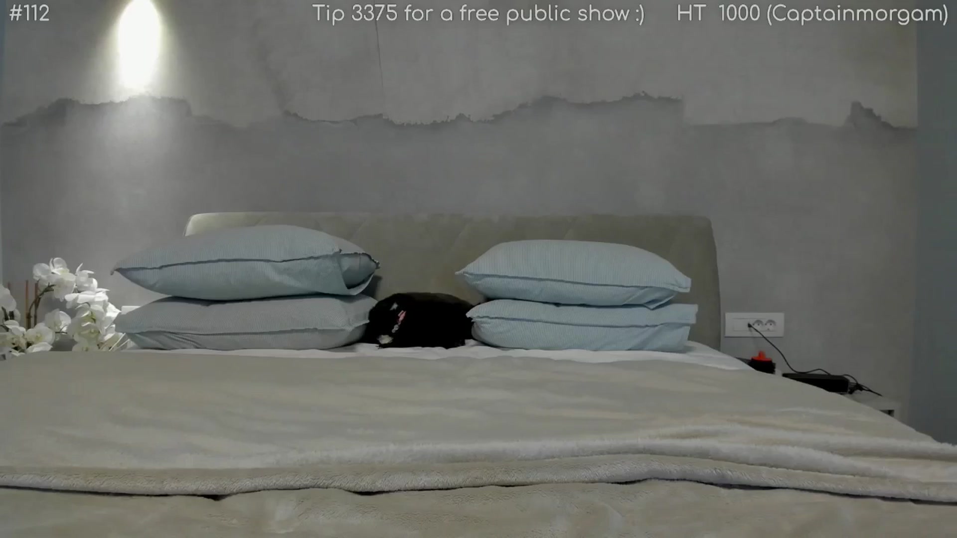 Gallery image thumbnail from girlboss's myfreecams stream on, 04/12/2026, 19:37 image 20 of 20