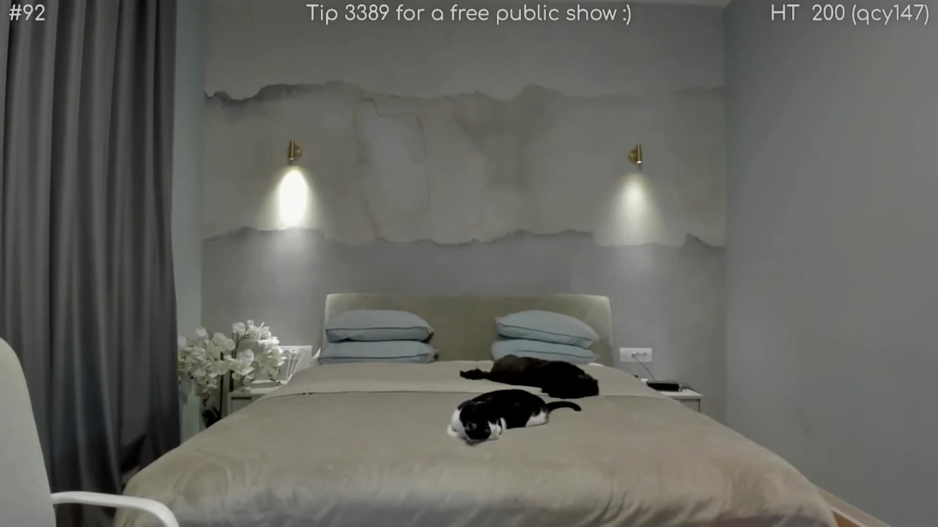 Gallery image thumbnail from girlboss's myfreecams stream on, 04/14/2026, 19:28 image 16 of 20