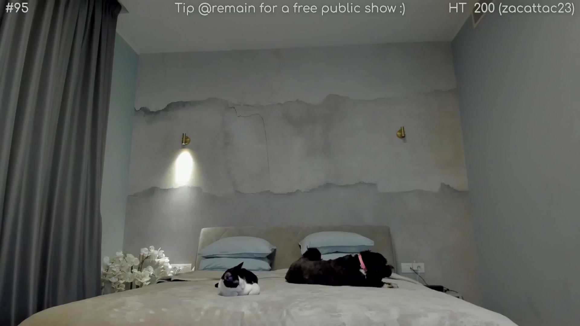 Gallery image thumbnail from girlboss's myfreecams stream on, 04/15/2026, 20:24 image 1 of 20