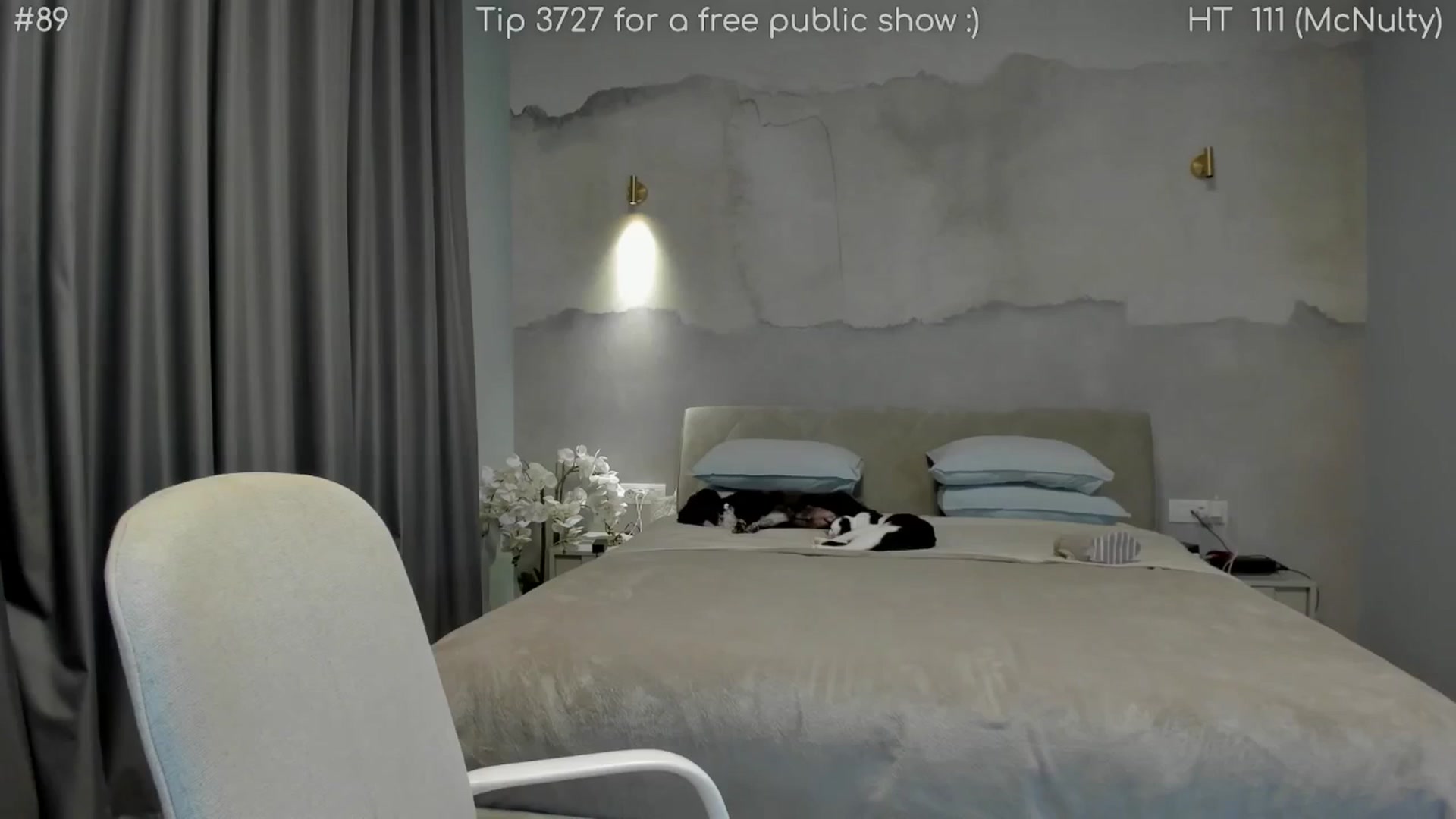 Gallery image thumbnail from girlboss's myfreecams stream on, 04/18/2026, 19:46 image 8 of 20