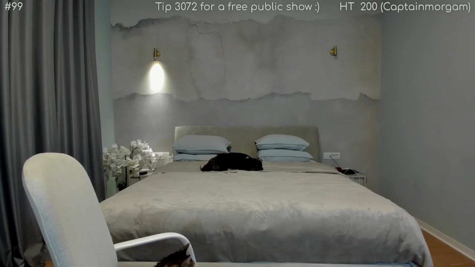 Gallery image thumbnail from girlboss's myfreecams stream on, 04/26/2026, 19:56 image 8 of 20