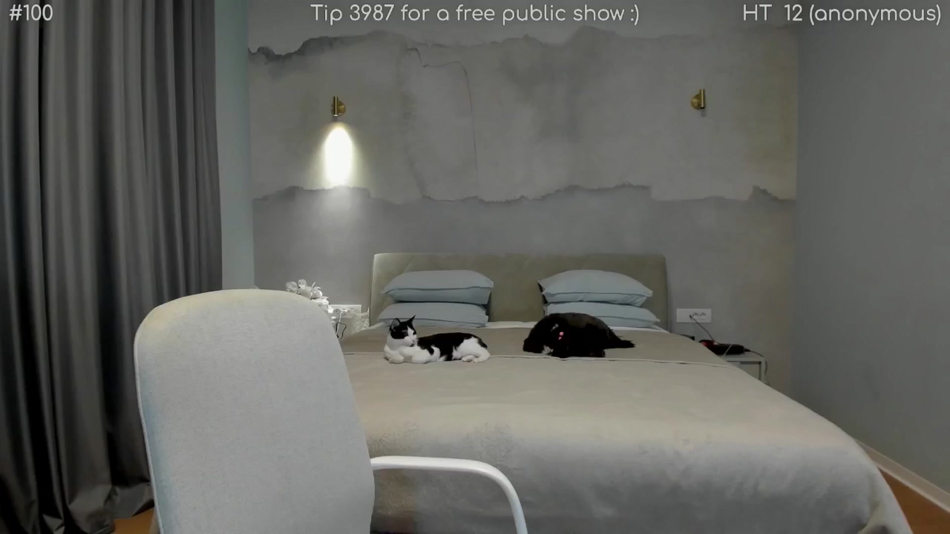 Gallery image thumbnail from girlboss's myfreecams stream on, 04/27/2026, 17:29 image 16 of 20