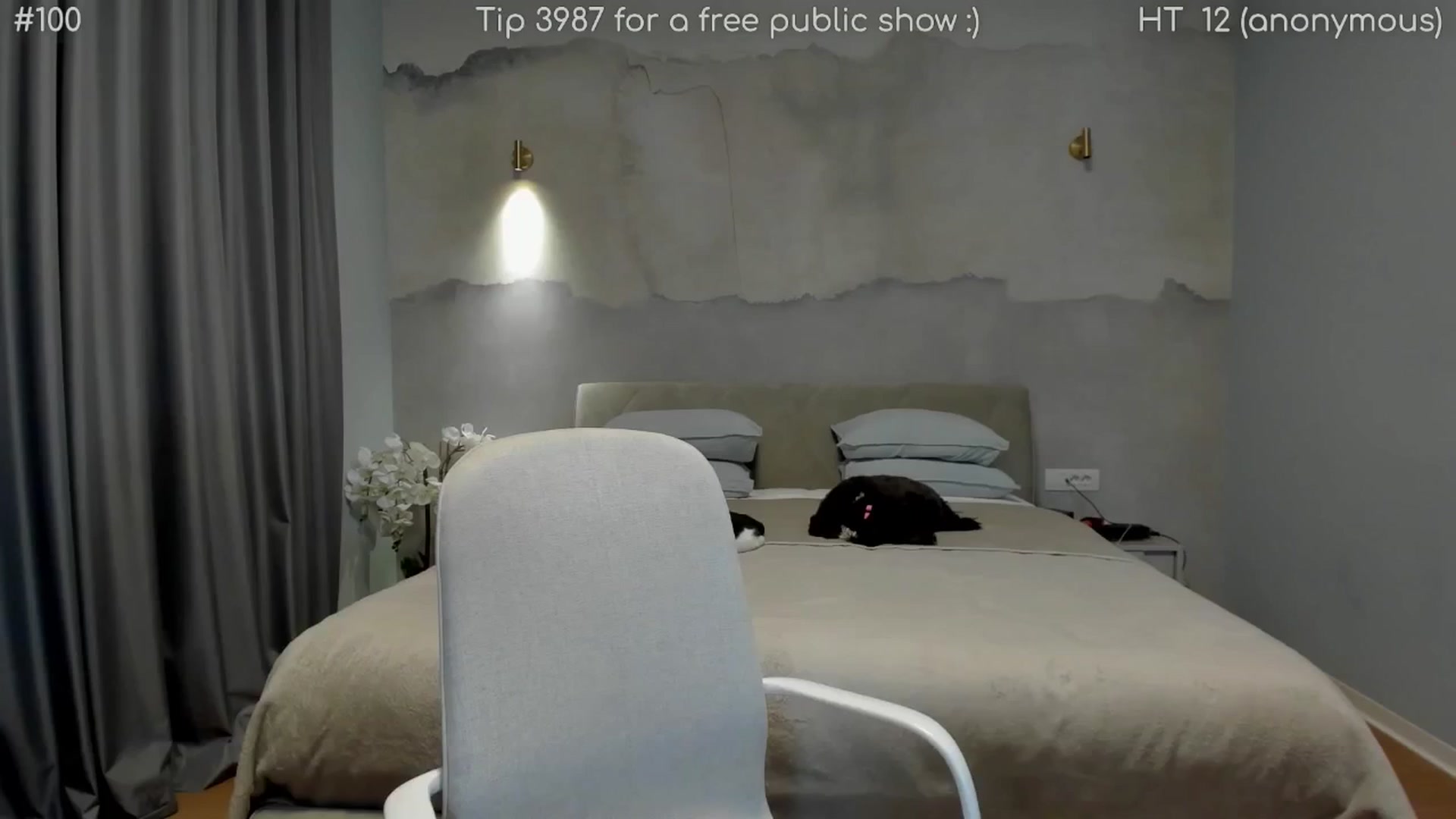 Gallery image thumbnail from girlboss's myfreecams stream on, 04/27/2026, 17:29 image 8 of 20