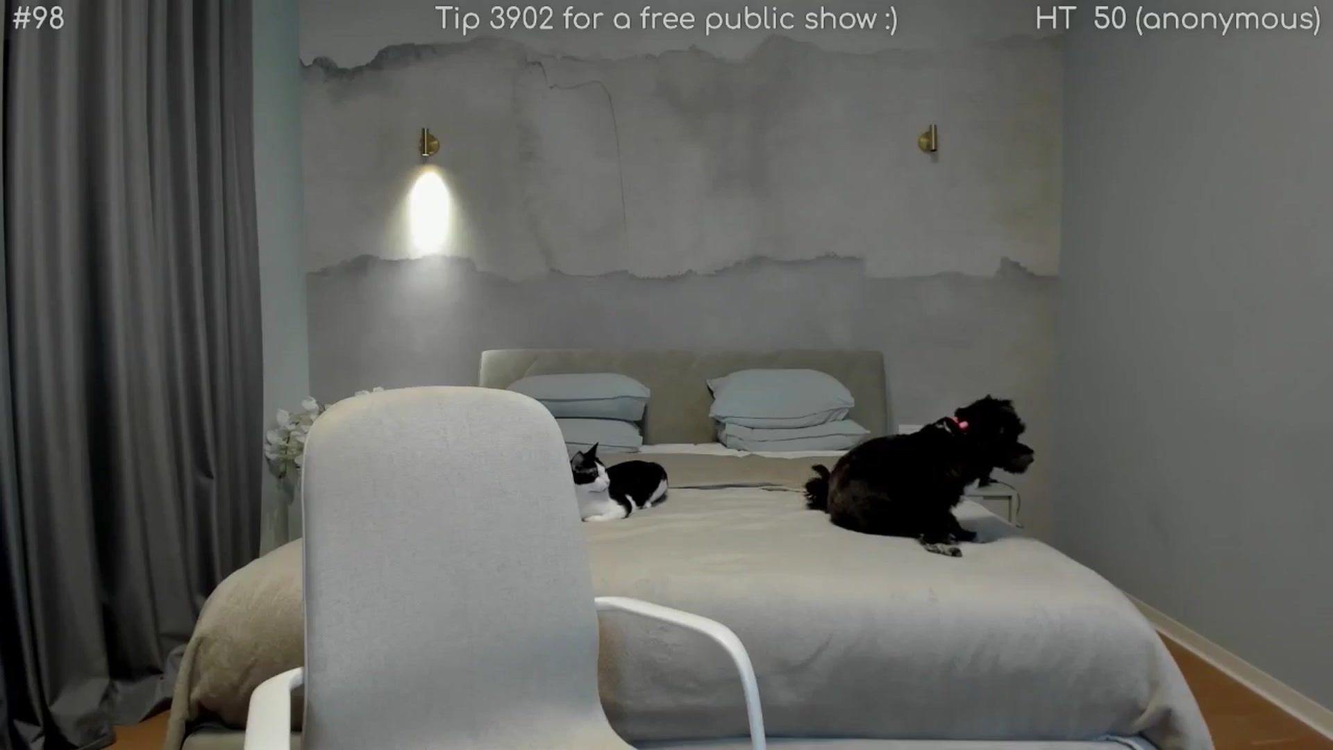 Gallery image thumbnail from girlboss's myfreecams stream on, 04/27/2026, 20:00 image 8 of 20