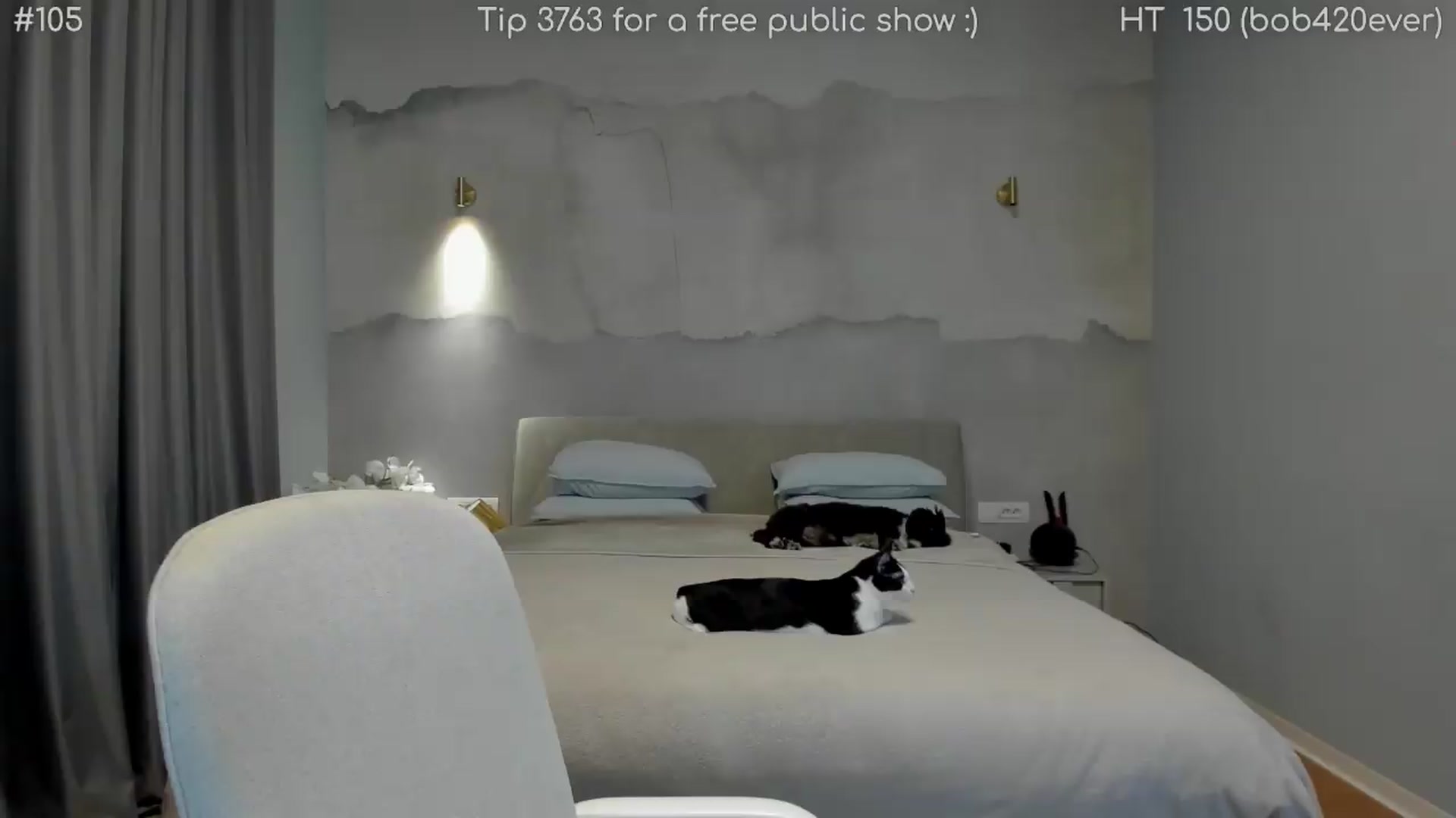 Gallery image thumbnail from girlboss's myfreecams stream on, 05/15/2026, 19:37 image 9 of 20