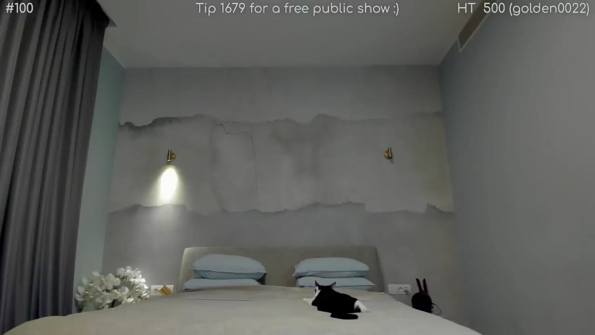 Gallery image thumbnail from girlboss's myfreecams stream on, 05/15/2026, 20:43 image 15 of 20