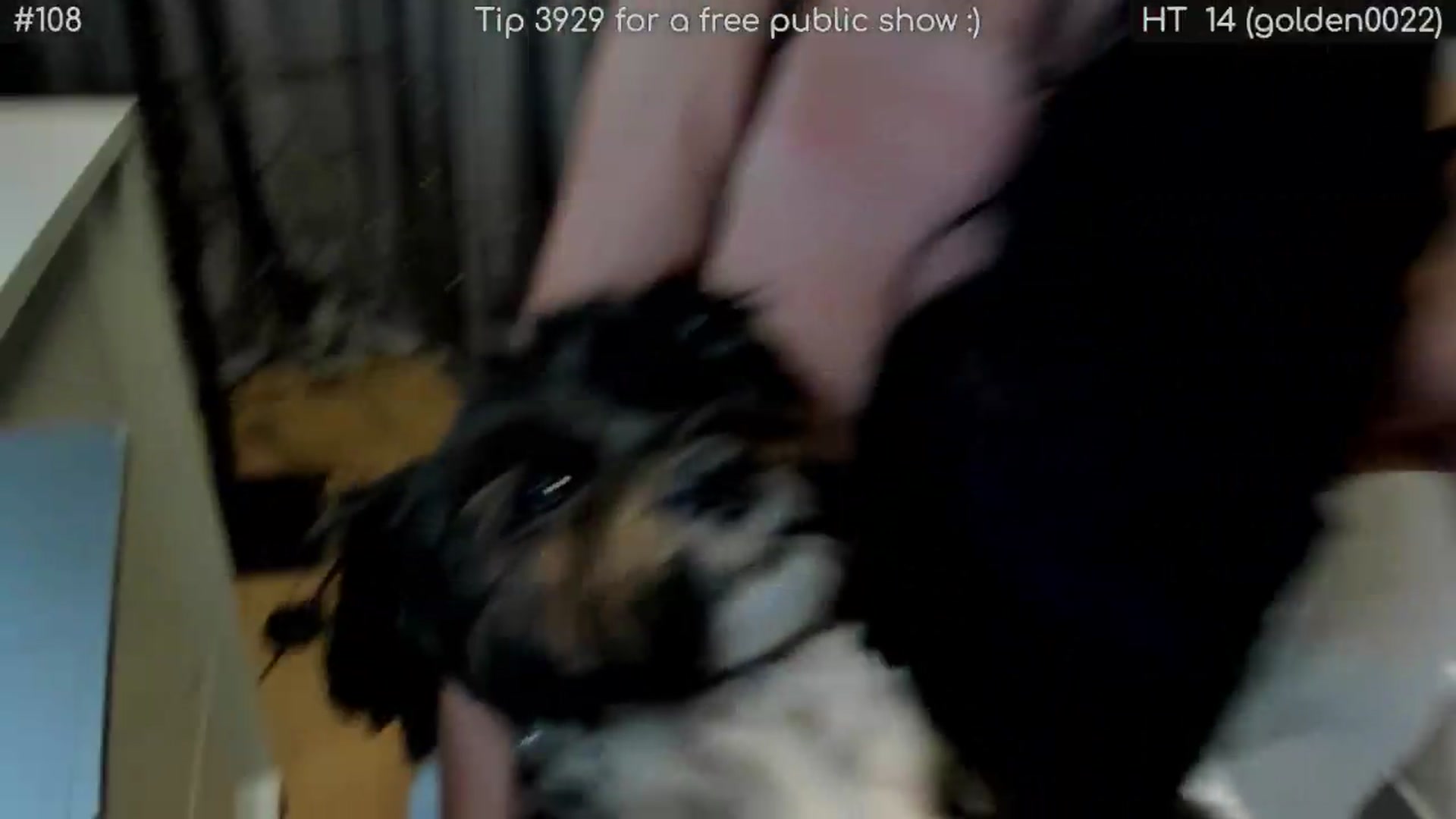 Gallery image thumbnail from girlboss's myfreecams stream on, 05/16/2026, 19:48 image 14 of 20