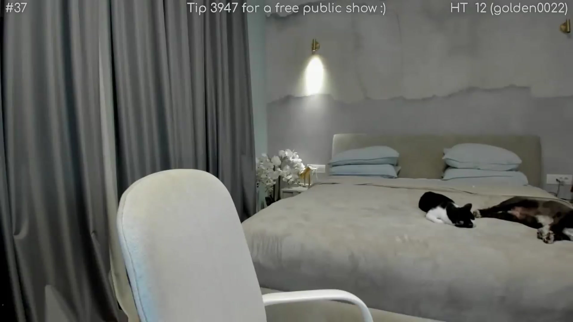 Gallery image thumbnail from girlboss's myfreecams stream on, 07/03/2026, 20:08 image 9 of 20