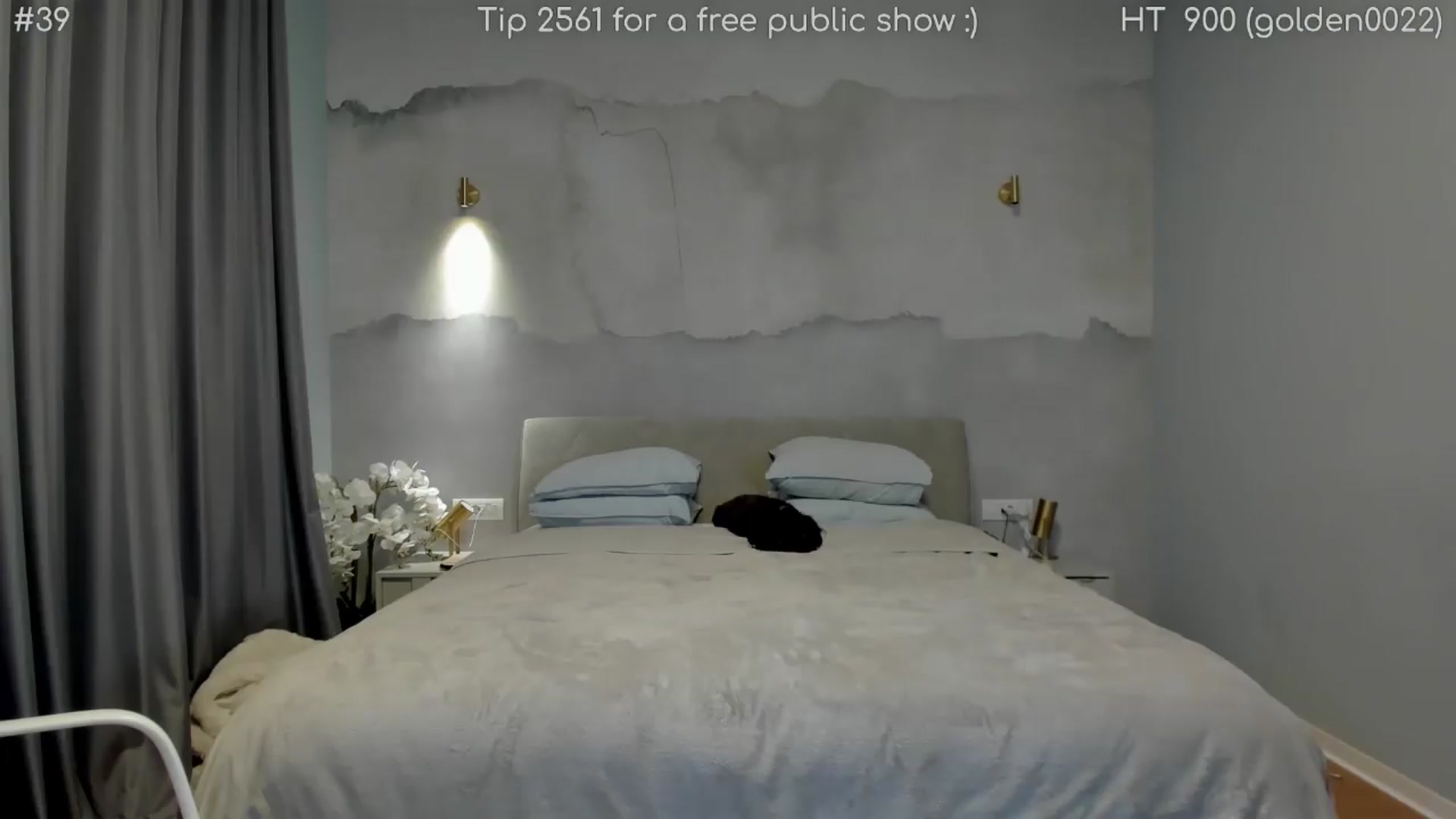 Gallery image thumbnail from girlboss's myfreecams stream on, 07/23/2026, 19:20 image 12 of 20