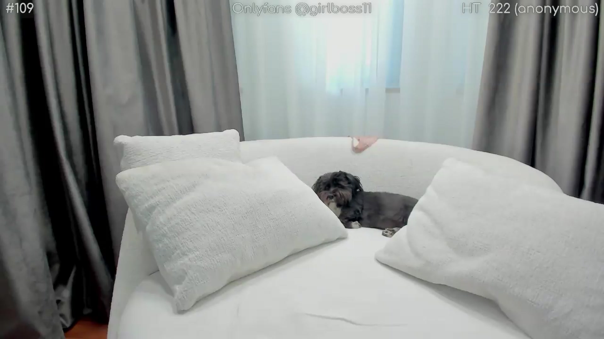 Gallery image thumbnail from girlboss's myfreecams stream on, 09/15/2026, 08:19 image 14 of 20