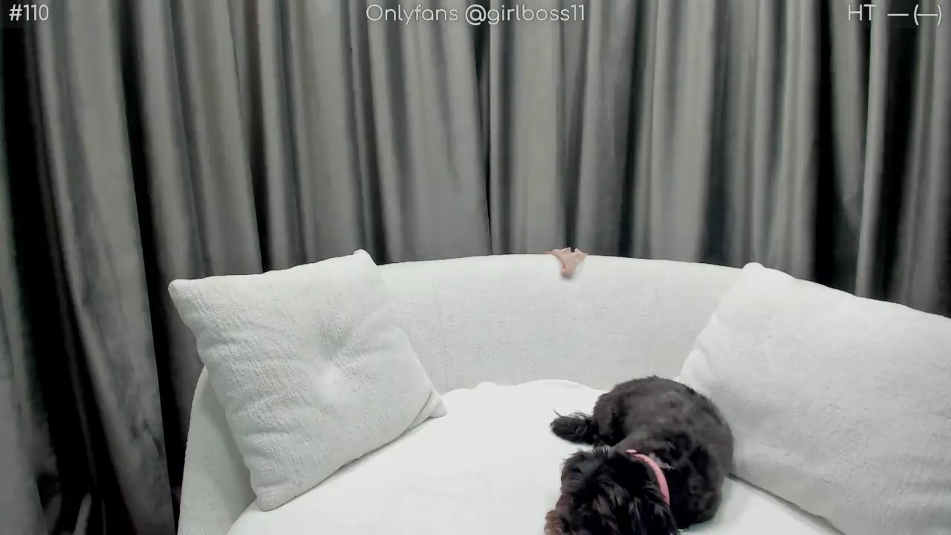 Gallery image thumbnail from girlboss's myfreecams stream on, 09/15/2026, 08:19 image 5 of 20