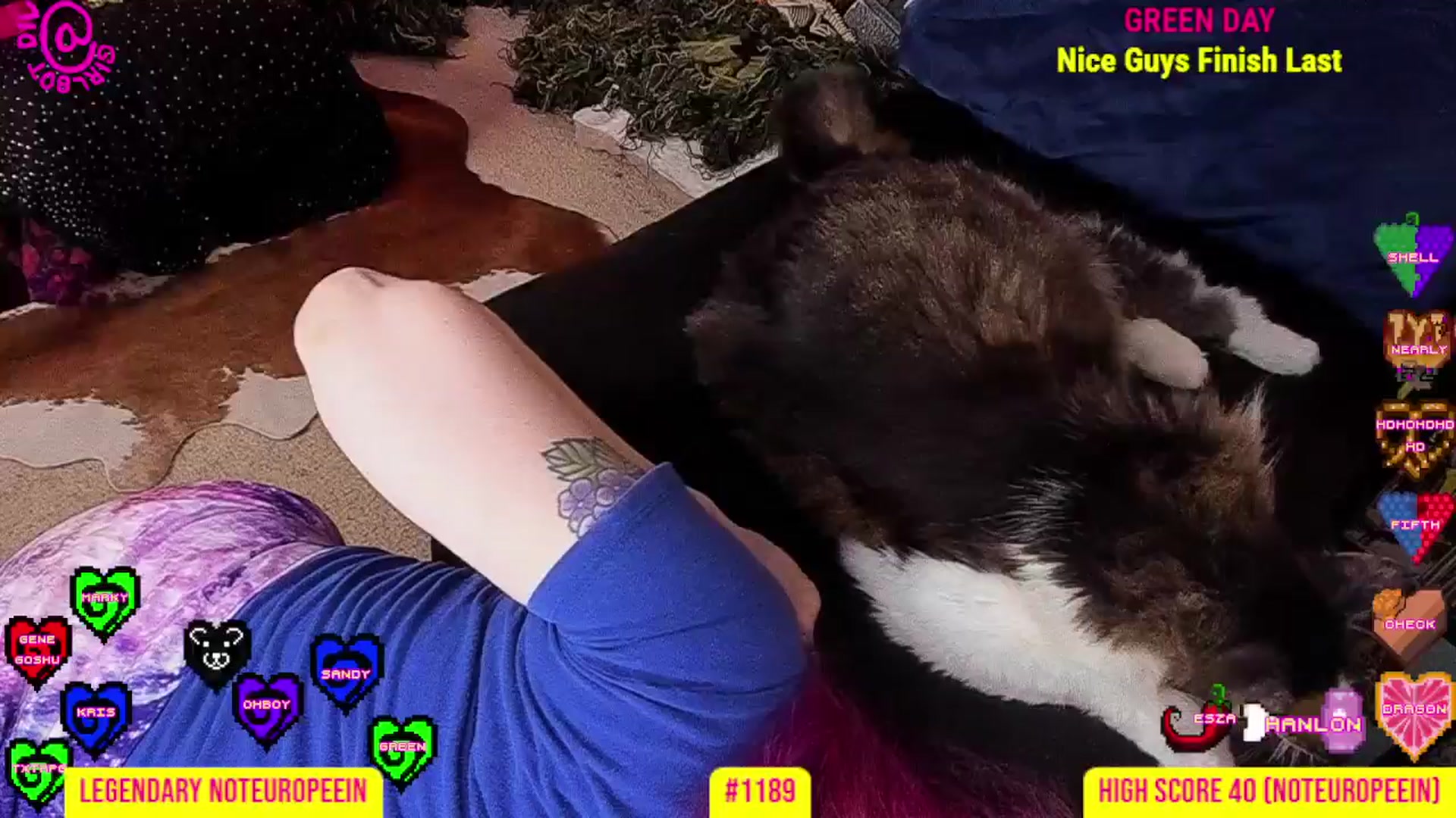 Gallery image thumbnail from girlbotDiv's myfreecams stream on, 08/31/2025, 03:05 image 7 of 20