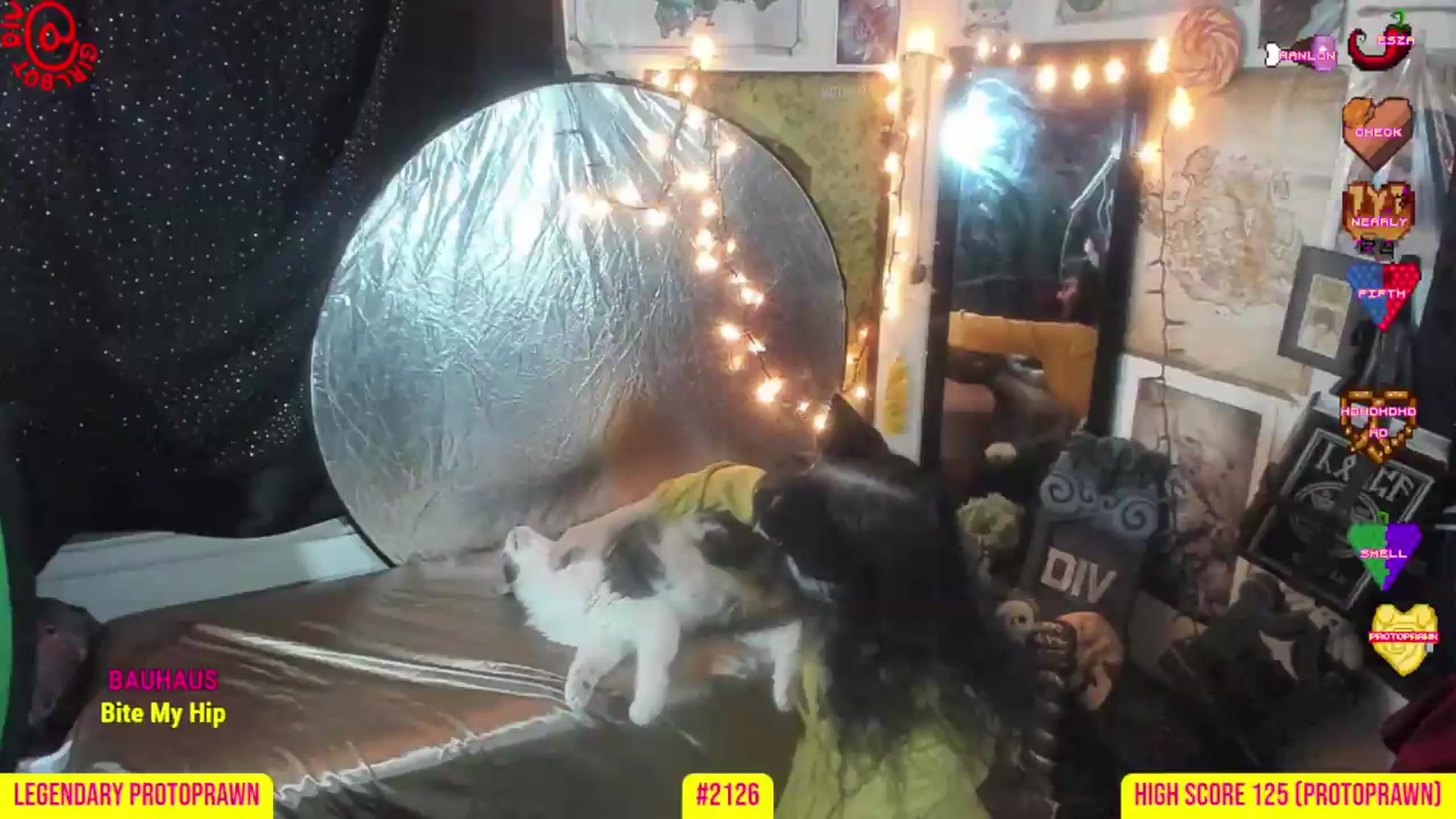 Gallery image thumbnail from girlbotDiv's myfreecams stream on, 08/27/2026, 01:19 image 5 of 20