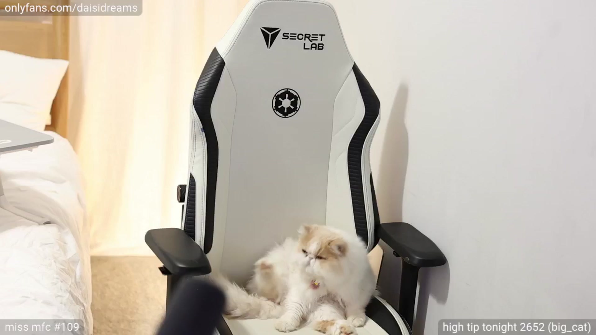 Gallery image thumbnail from glittertits's myfreecams stream on, 06/10/2024, 03:08 image 20 of 20