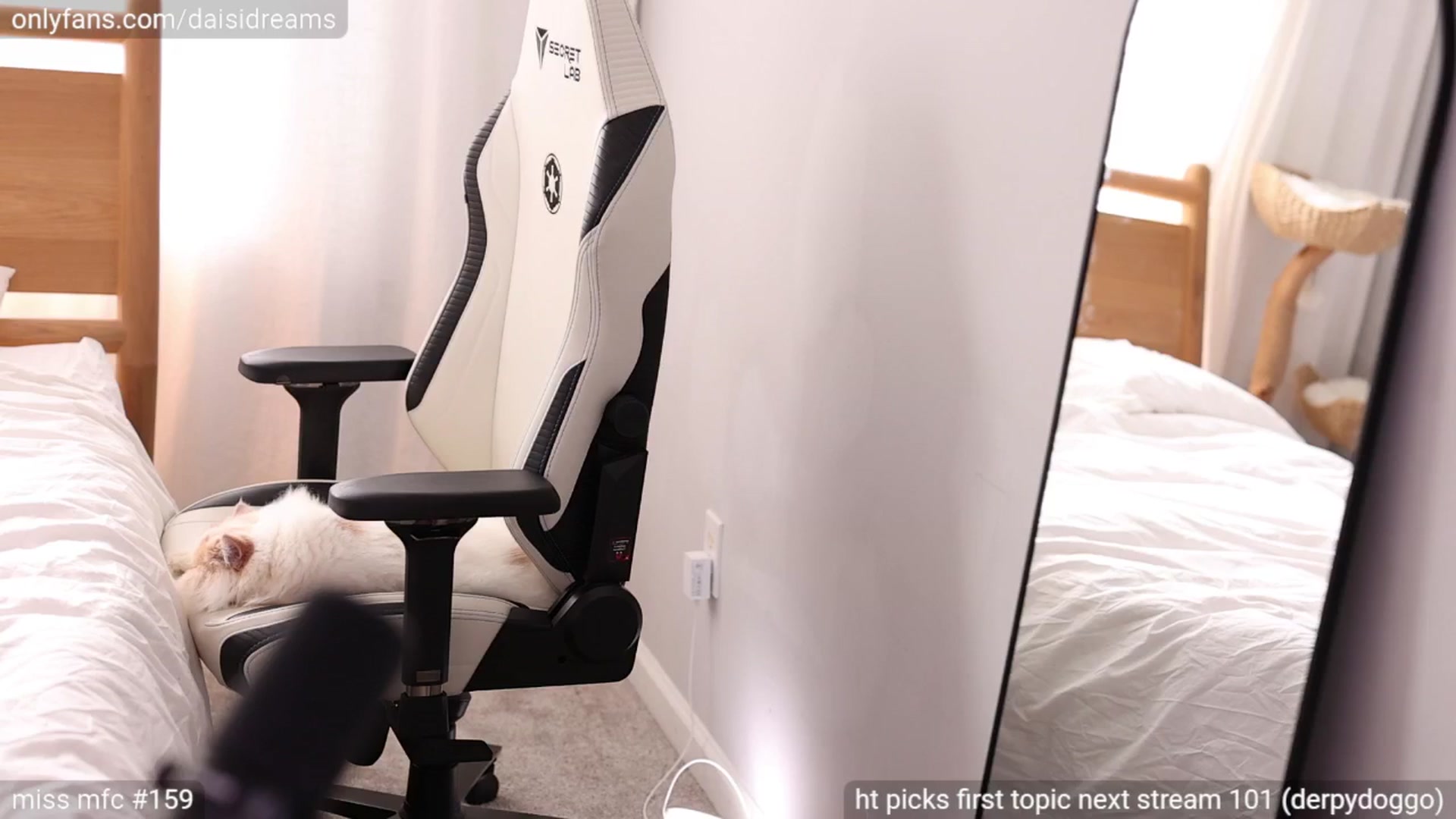 Gallery image thumbnail from glittertits's myfreecams stream on, 06/13/2024, 24:18 image 9 of 20