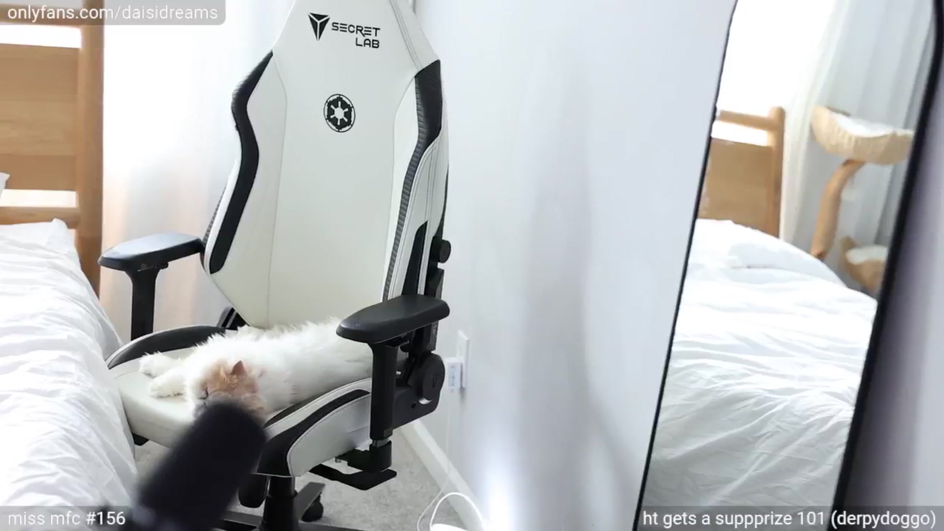 Gallery image thumbnail from glittertits's myfreecams stream on, 06/13/2024, 24:18 image 12 of 20