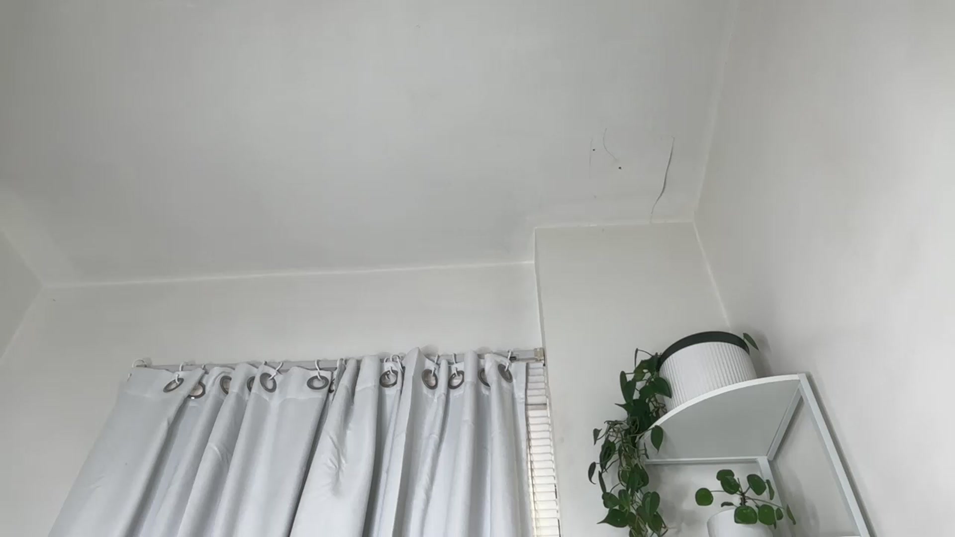 Gallery image thumbnail from goblingoddess's myfreecams stream on, 02/24/2026, 21:53 image 7 of 20