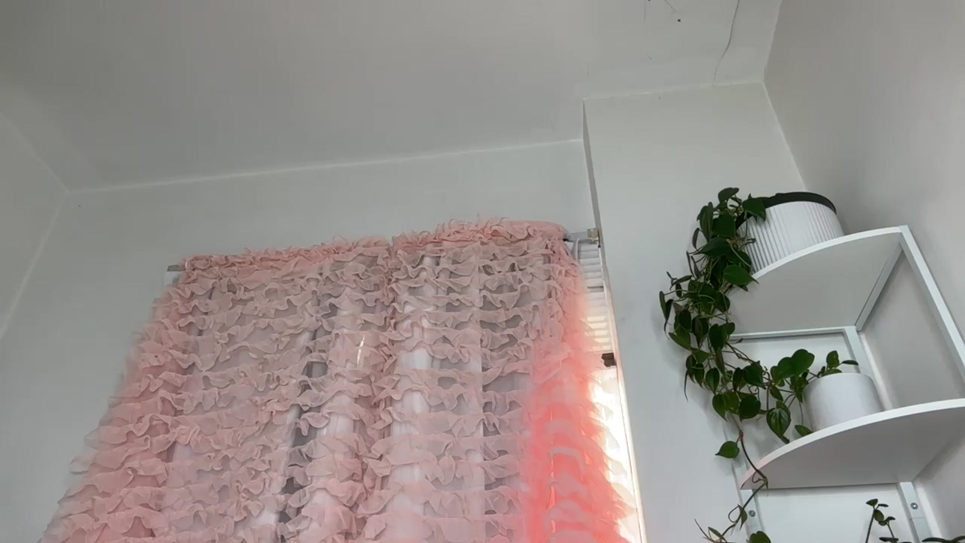 Gallery image thumbnail from goblingoddess's myfreecams stream on, 03/09/2026, 17:15 image 4 of 20