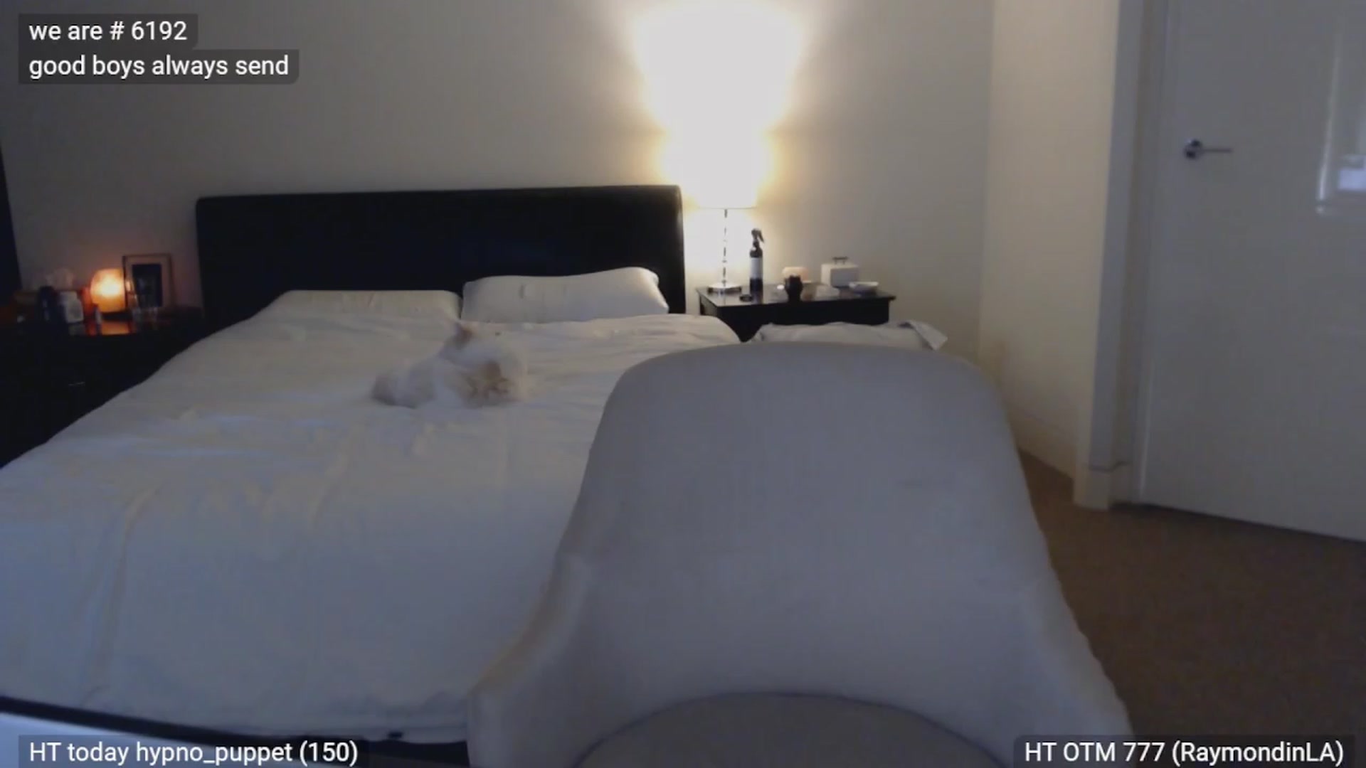 Gallery image thumbnail from goddessK1RA's myfreecams stream on, 10/20/2023, 05:19 image 18 of 20