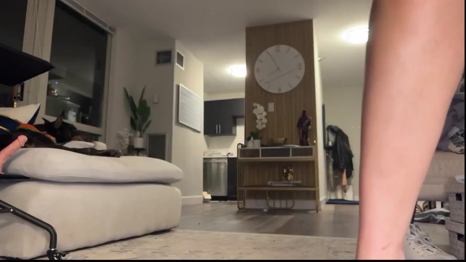 Gallery image thumbnail from graciemaexx's myfreecams stream on, 10/20/2024, 01:10 image 6 of 20