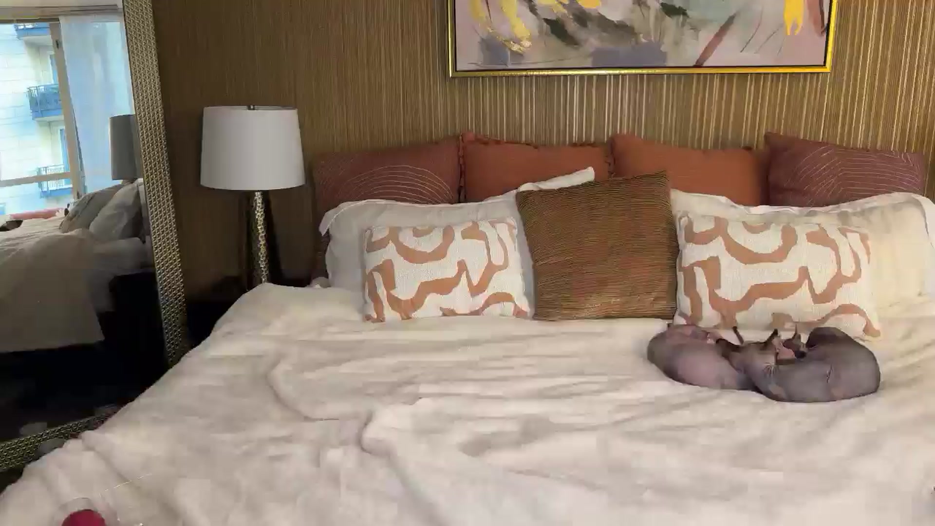 Gallery image thumbnail from graciemaexx's myfreecams stream on, 10/25/2024, 22:55 image 2 of 20