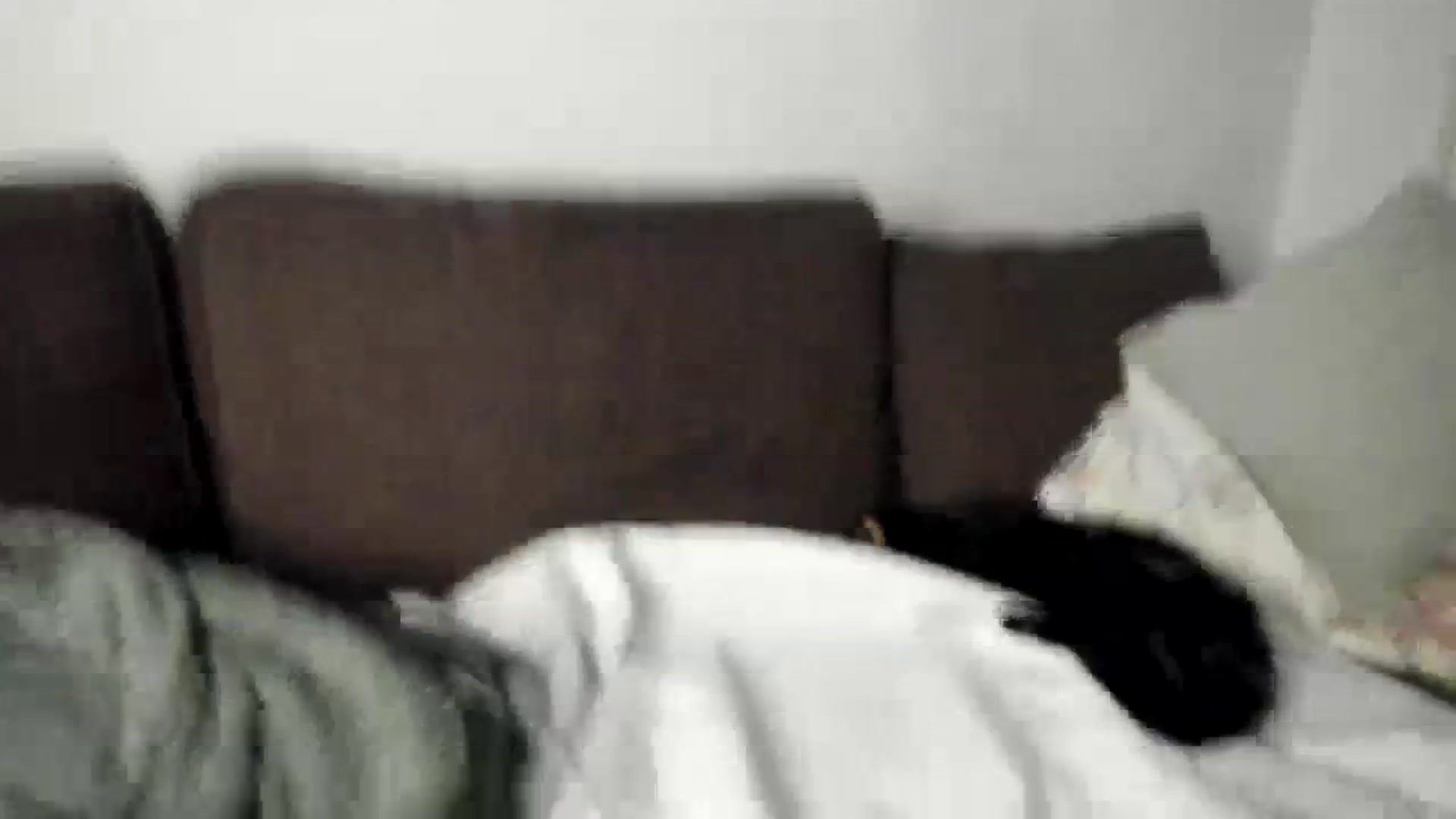 Gallery image thumbnail from greengiirl's myfreecams stream on, 11/05/2023, 20:07 image 15 of 20