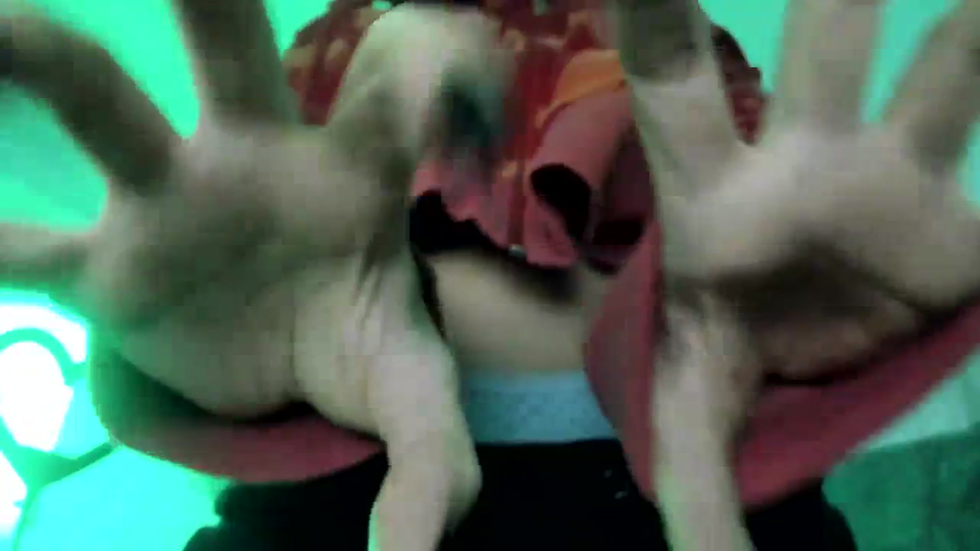 Gallery image thumbnail from greenzone's myfreecams stream on, 03/25/2024, 04:16 image 10 of 20