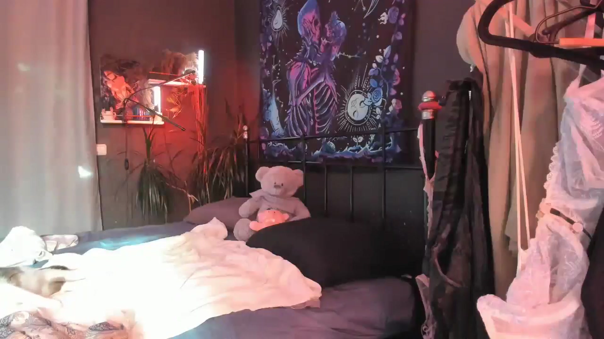 Gallery image thumbnail from greenzone's myfreecams stream on, 07/24/2025, 12:46 image 14 of 20