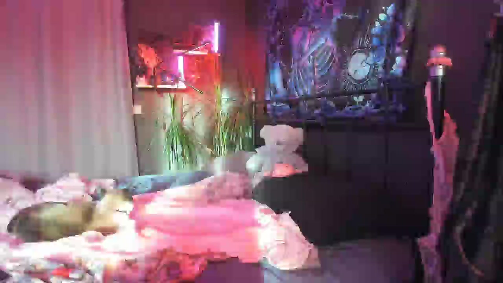 Gallery image thumbnail from greenzone's myfreecams stream on, 07/24/2025, 14:03 image 9 of 20