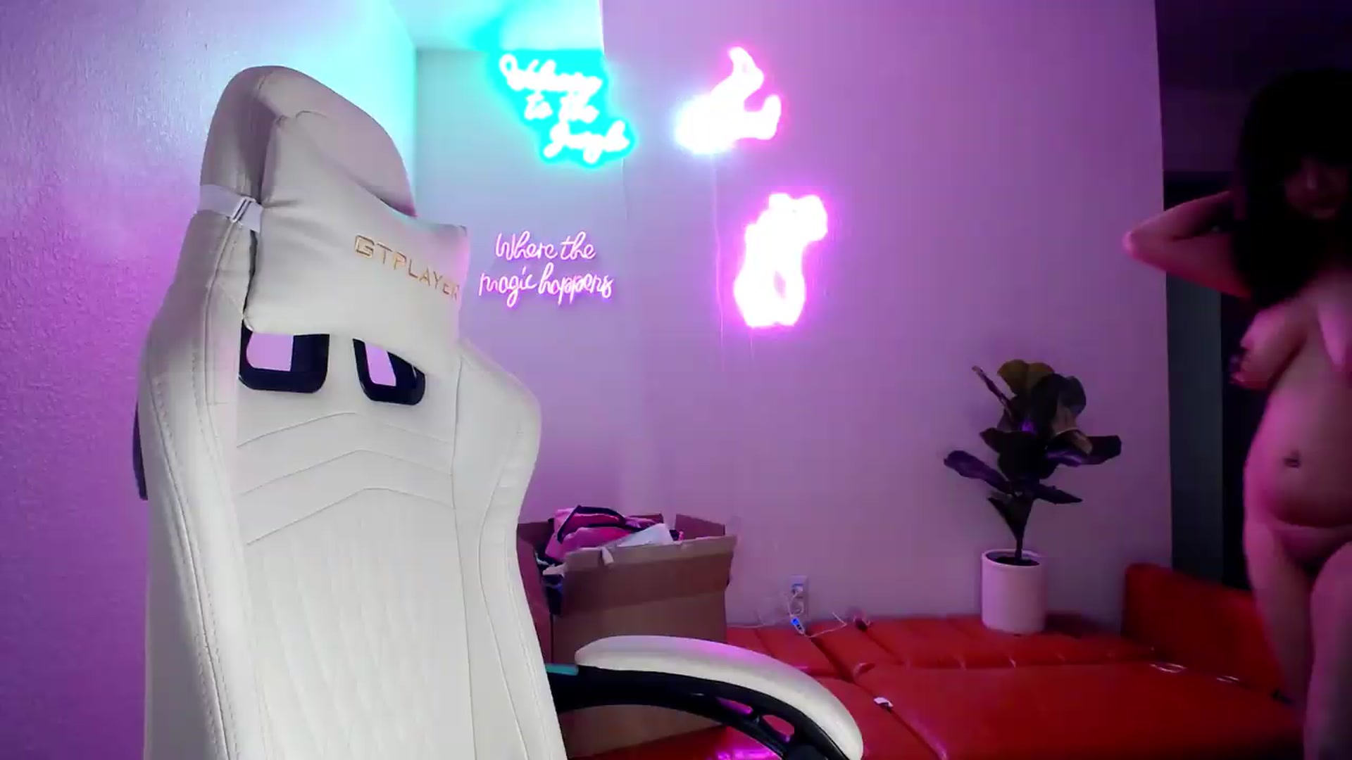 Gallery image thumbnail from groovynights's myfreecams stream on, 08/09/2026, 13:07 image 14 of 20