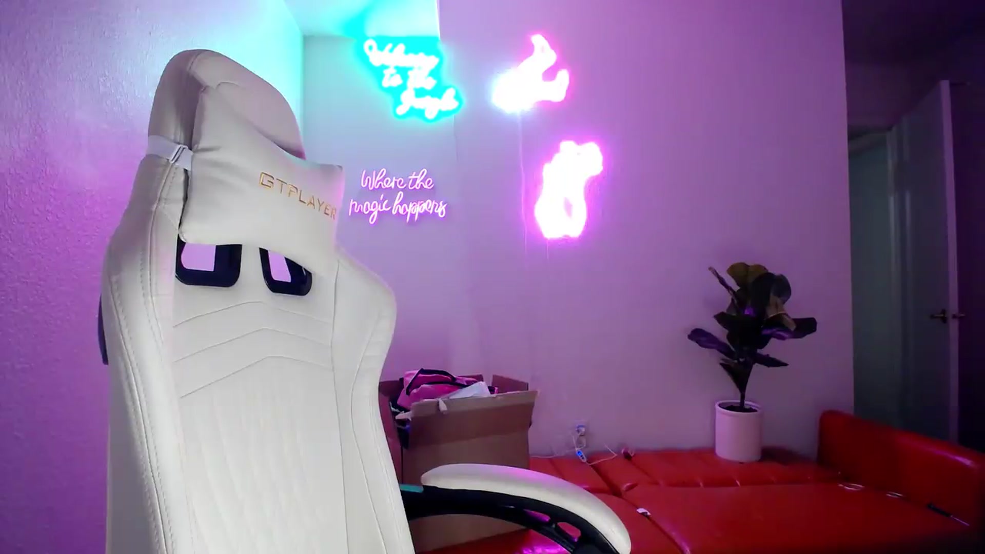 Gallery image thumbnail from groovynights's myfreecams stream on, 08/09/2026, 13:07 image 13 of 20