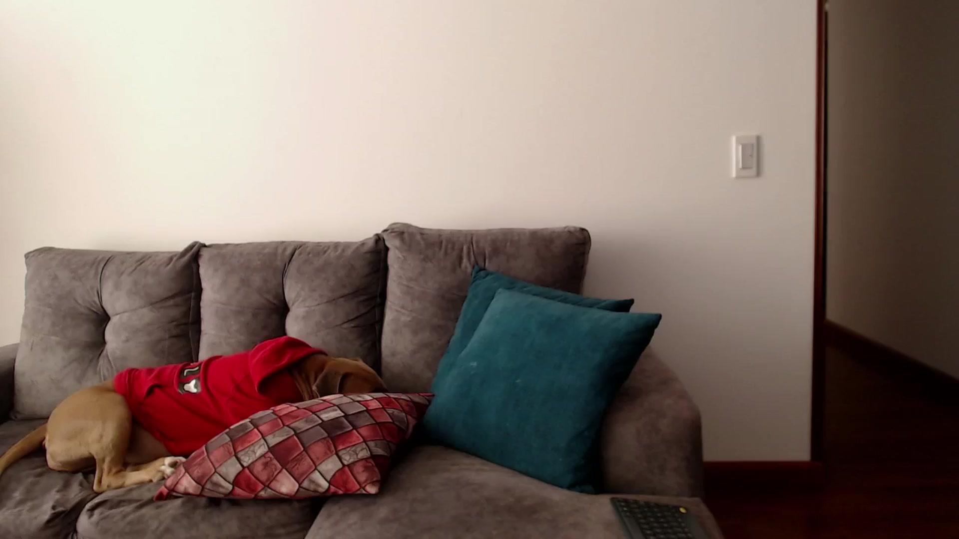 Gallery image thumbnail from h_e_r_a's myfreecams stream on, 01/03/2025, 16:16 image 19 of 20