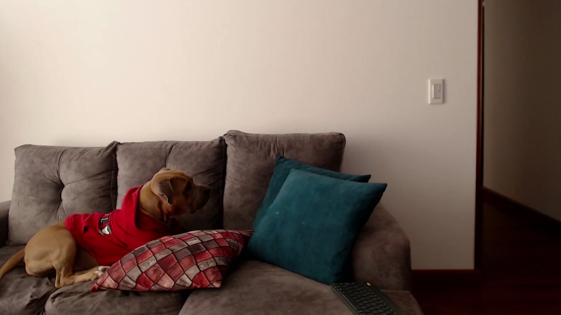 Gallery image thumbnail from h_e_r_a's myfreecams stream on, 01/03/2025, 16:16 image 18 of 20