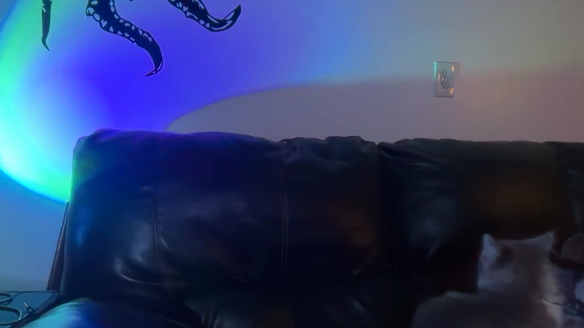 Gallery image thumbnail from hannahtaylor's myfreecams stream on, 05/10/2026, 08:54 image 9 of 20