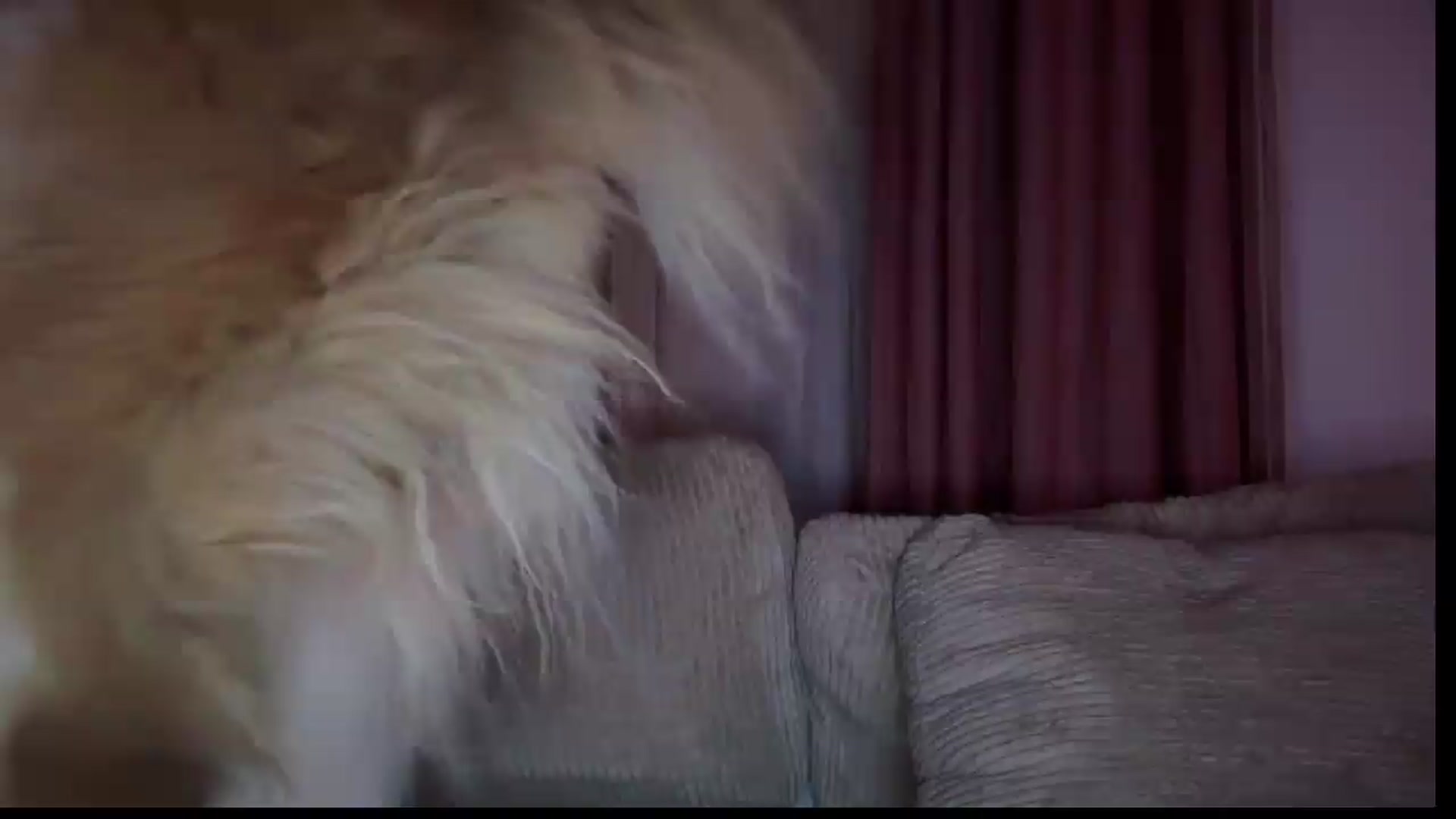Gallery image thumbnail from hannahtaylor's myfreecams stream on, 08/02/2026, 06:16 image 16 of 20