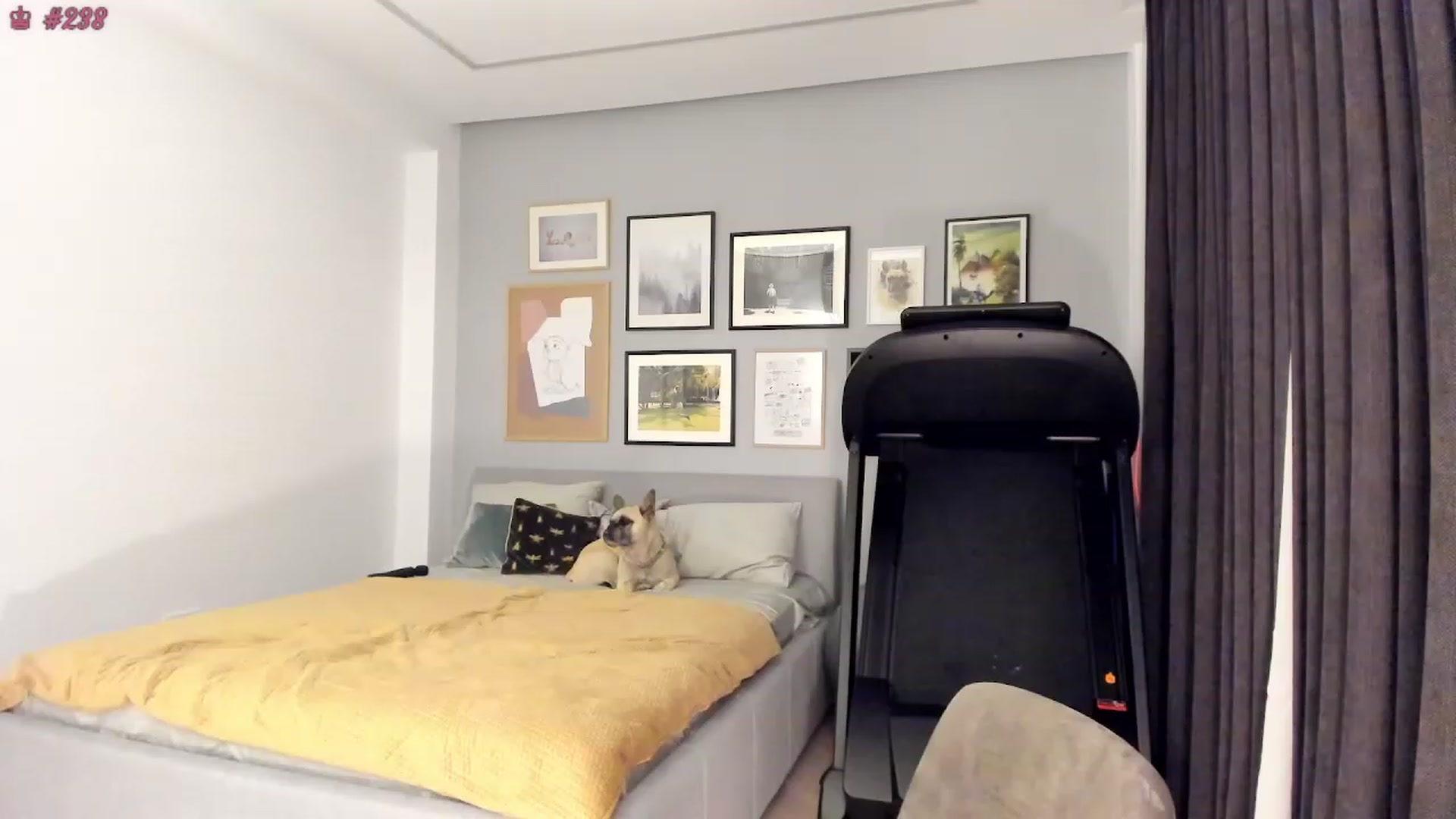 Gallery image thumbnail from happyendings_'s myfreecams stream on, 07/14/2023, 21:59 image 12 of 20