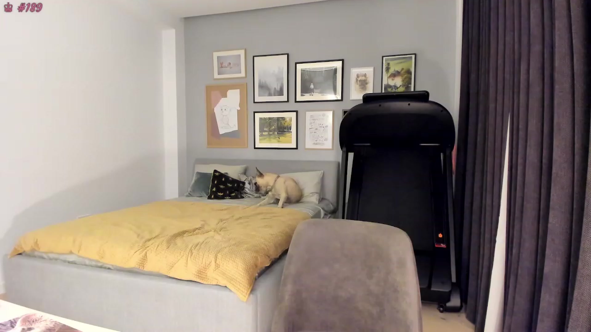 Gallery image thumbnail from happyendings_'s myfreecams stream on, 07/15/2023, 24:40 image 19 of 20