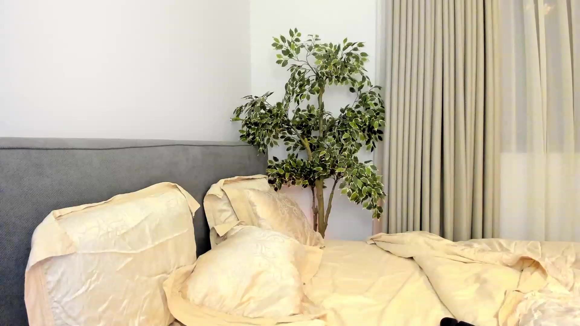 Gallery image thumbnail from happyendings_'s myfreecams stream on, 11/23/2023, 04:24 image 17 of 20