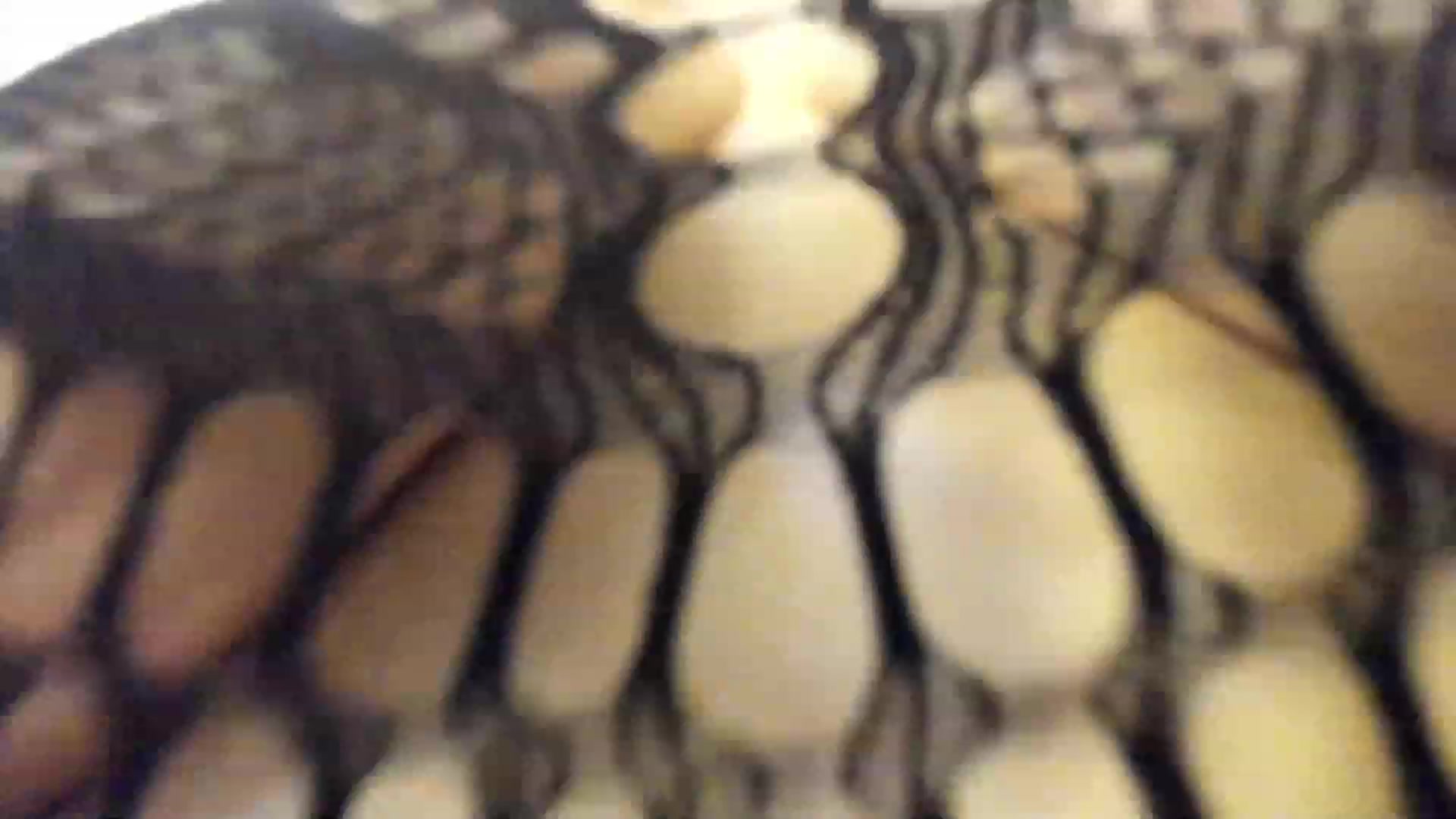 Gallery image thumbnail from happyendings_'s myfreecams stream on, 12/20/2023, 05:59 image 19 of 20