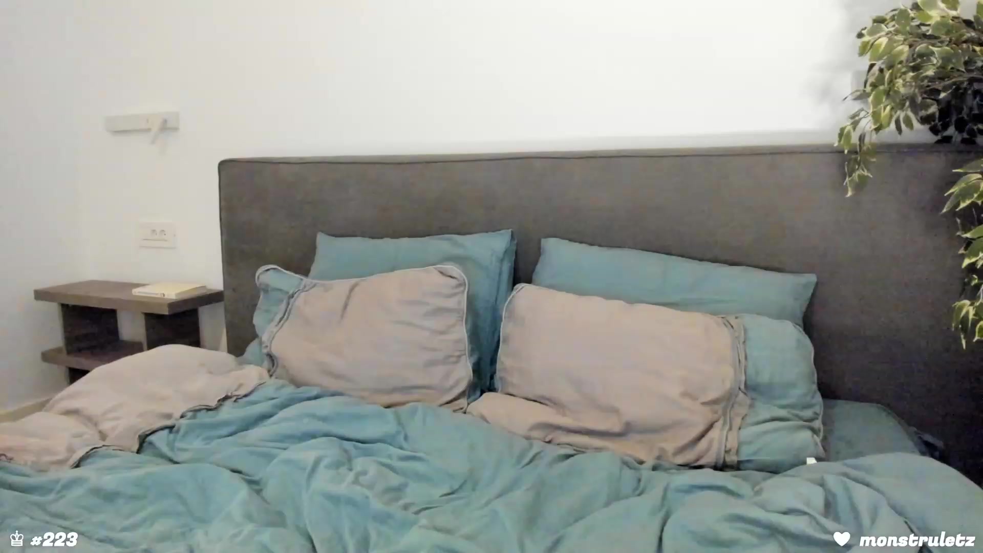 Gallery image thumbnail from happyendings_'s myfreecams stream on, 01/06/2024, 06:19 image 13 of 20