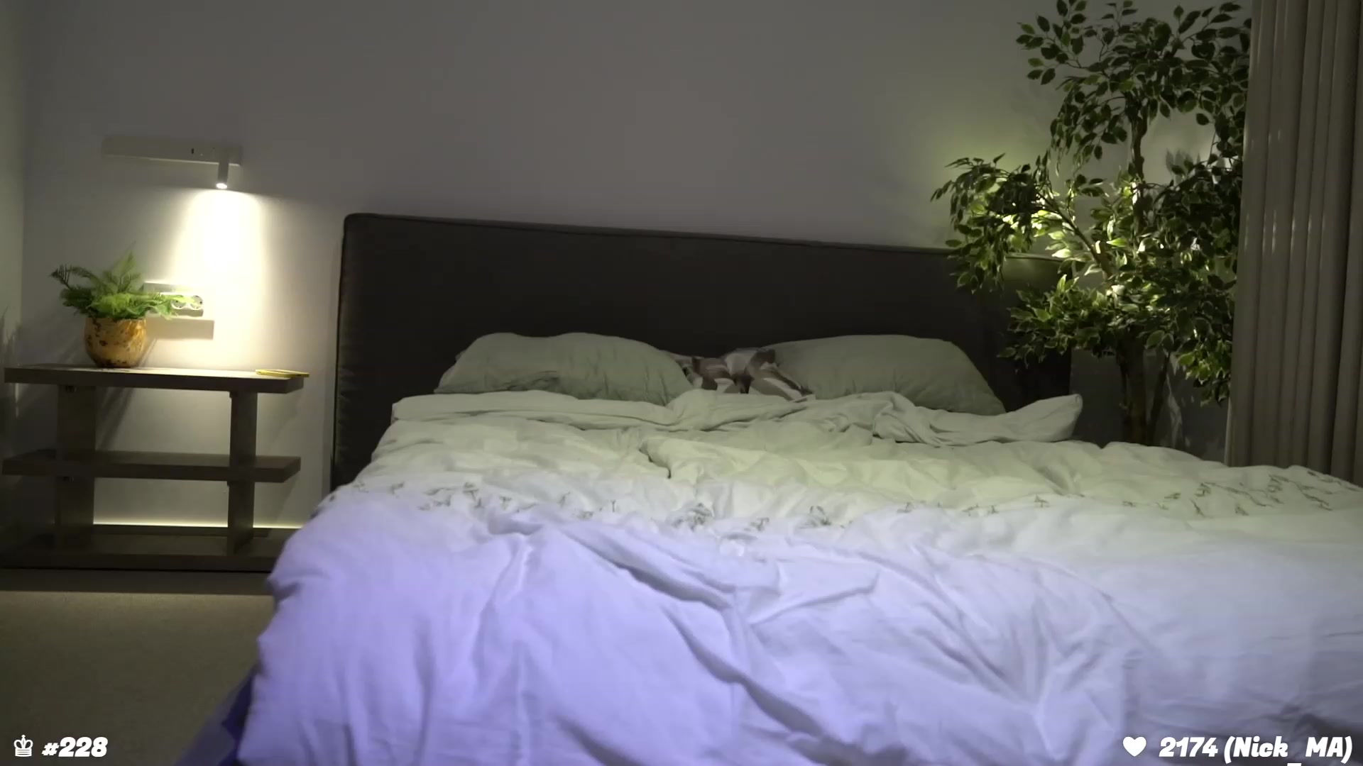 Gallery image thumbnail from happyendings_'s myfreecams stream on, 01/30/2024, 02:02 image 3 of 20