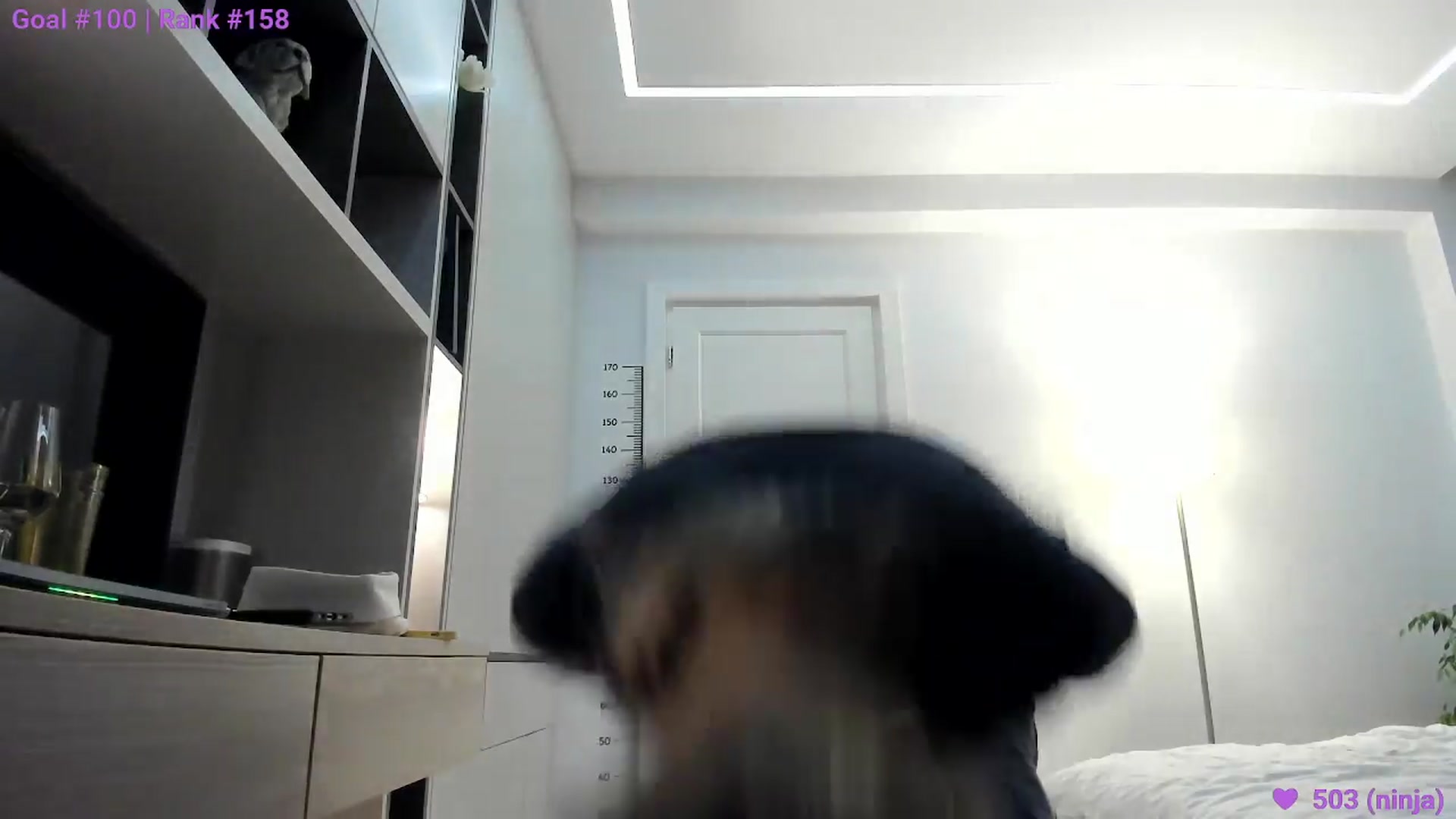 Gallery image thumbnail from happyendings_'s myfreecams stream on, 03/23/2024, 24:01 image 19 of 20